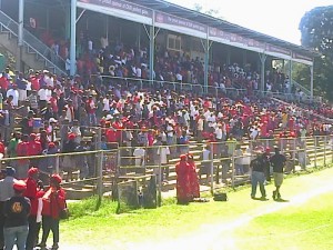 workers day7