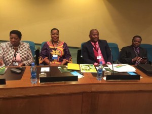 US AFRICA BUSINESS SUMMIT 1