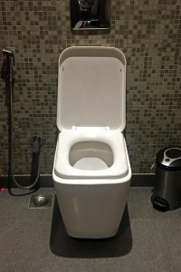 08-world-toilet-day-2016-ngsversion-1479472207955-adapt-536-1
